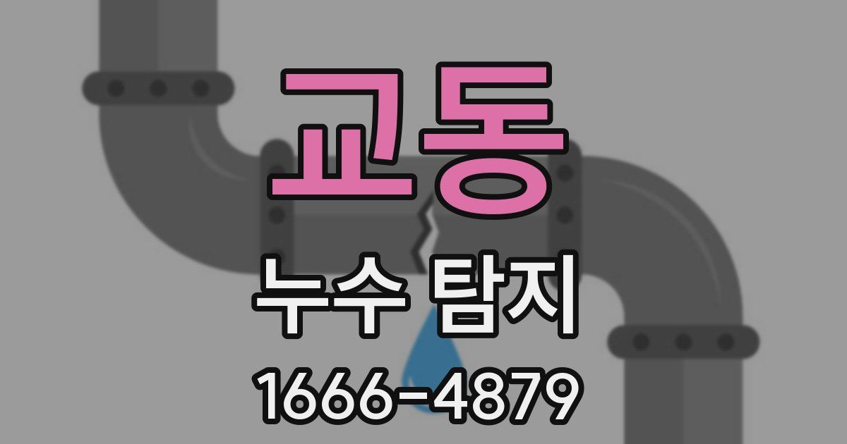 교동 누수 탐지