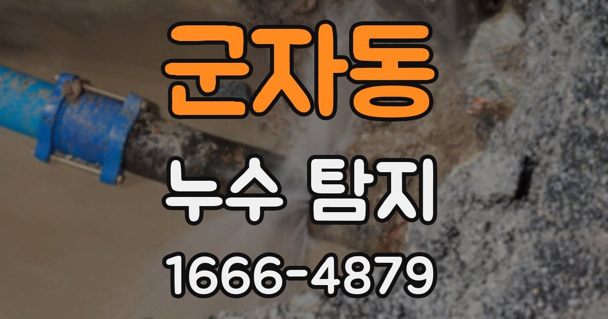 군자동 누수 탐지