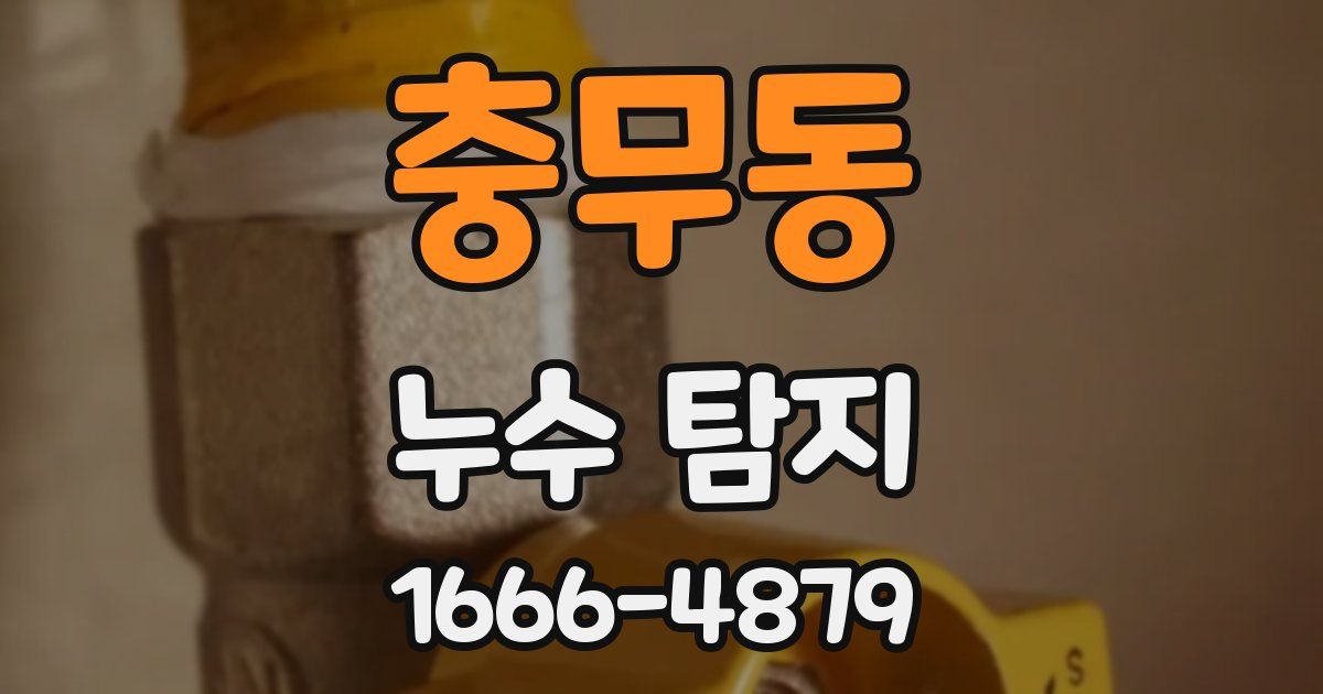 충무동 누수 탐지