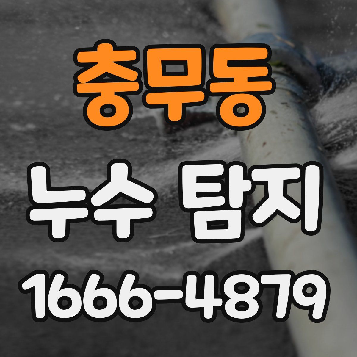 충무동 누수 탐지