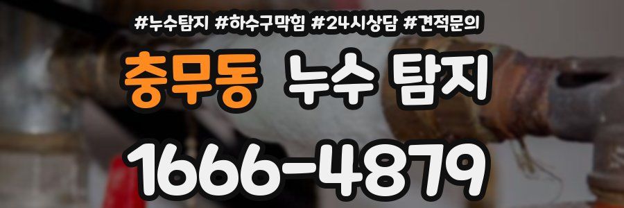 충무동 누수 탐지