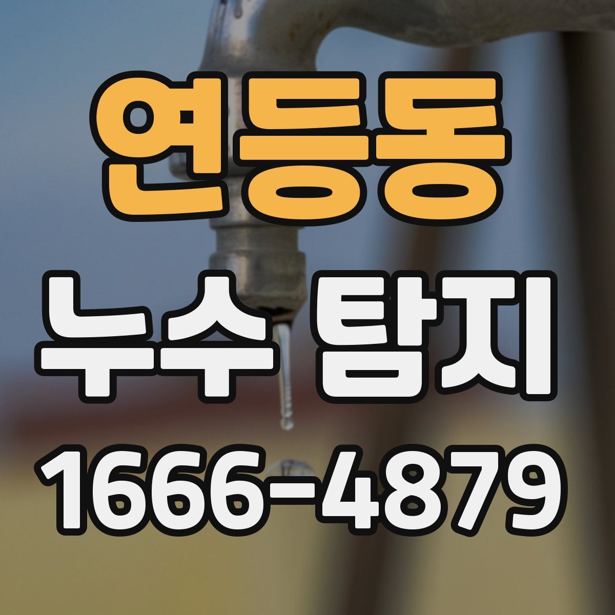 연등동 누수 탐지