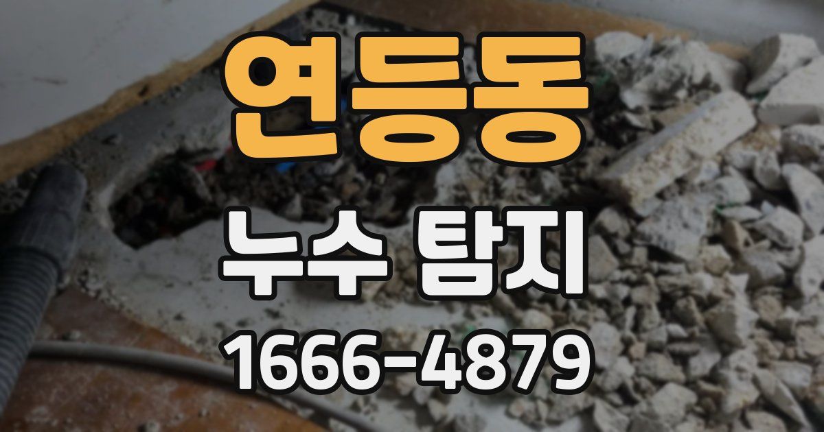 연등동 누수 탐지
