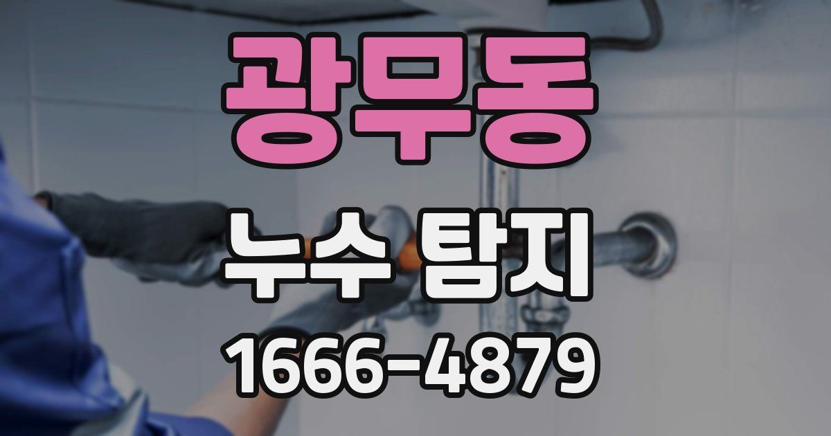광무동 누수 탐지