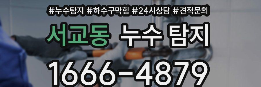 서교동 누수 탐지