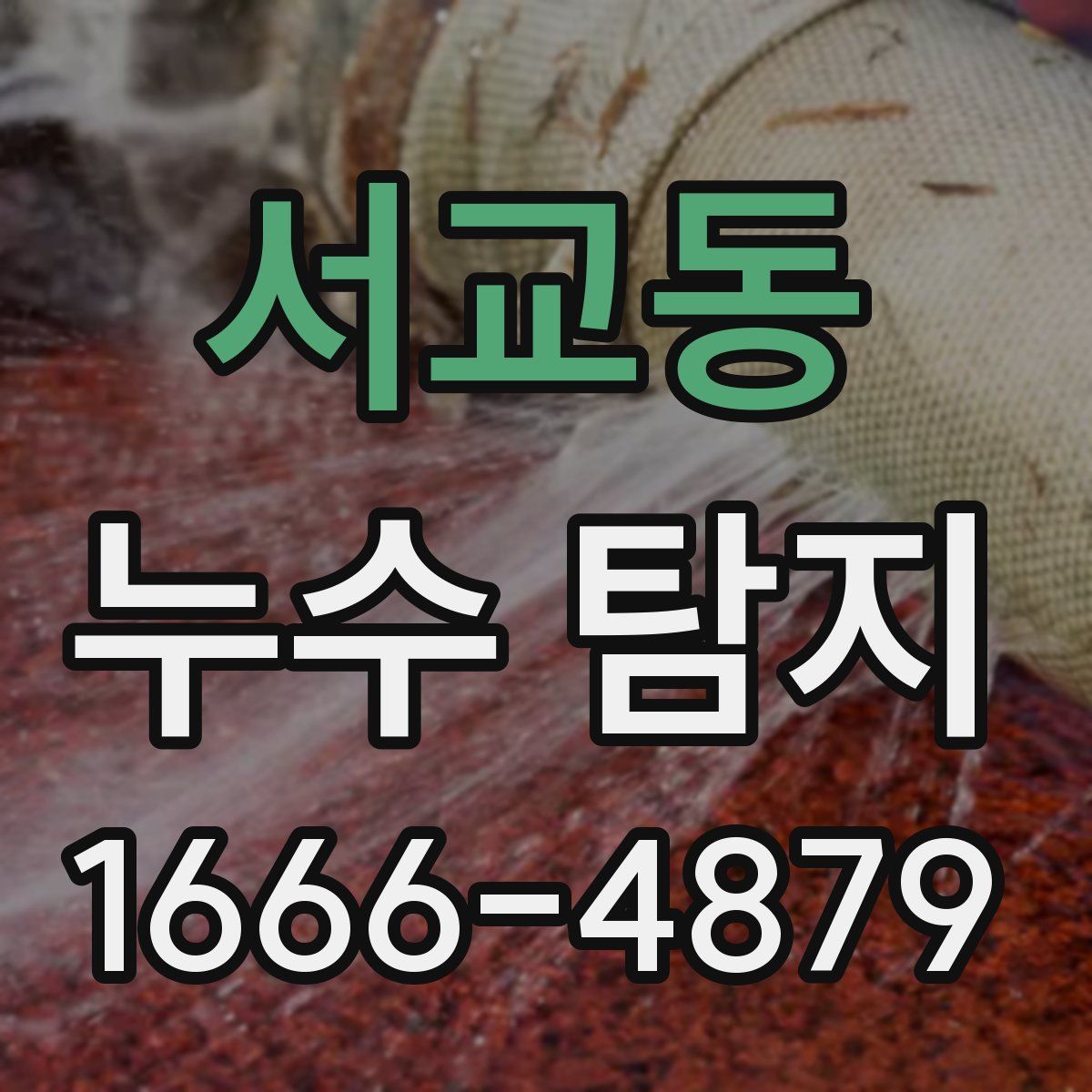 서교동 누수 탐지