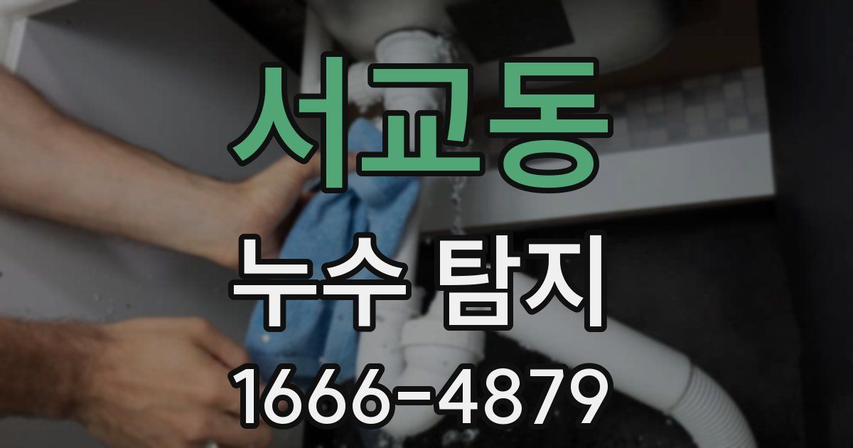 서교동 누수 탐지