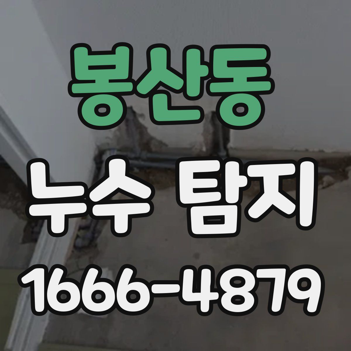 봉산동 누수 탐지