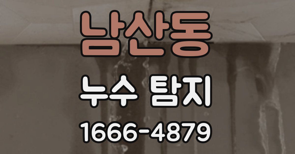 남산동 누수 탐지