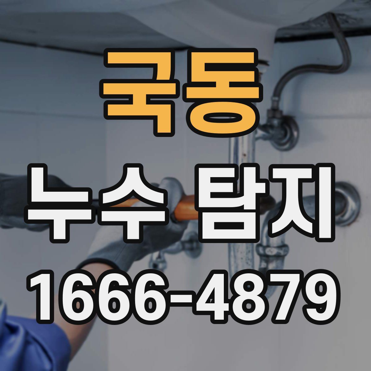 국동 누수 탐지