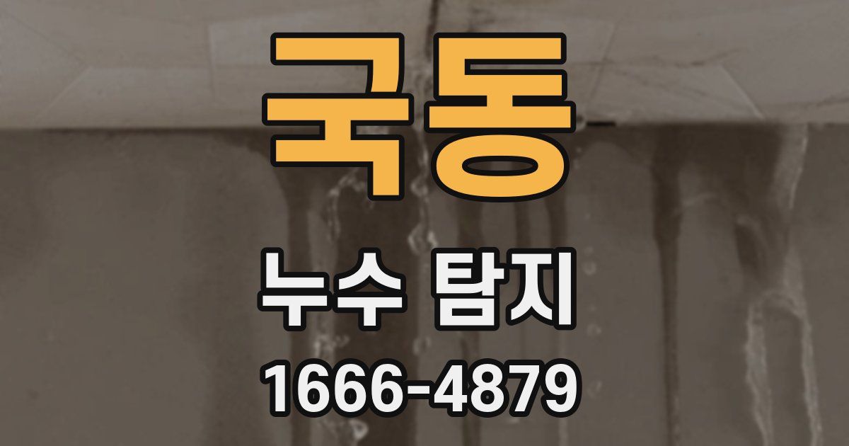 국동 누수 탐지