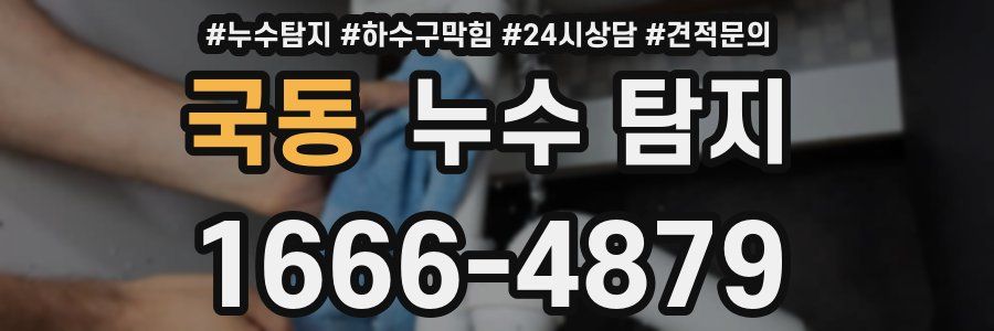국동 누수 탐지