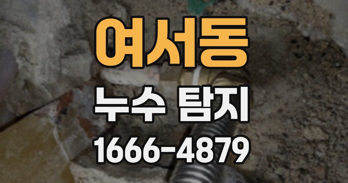여서동 누수 탐지