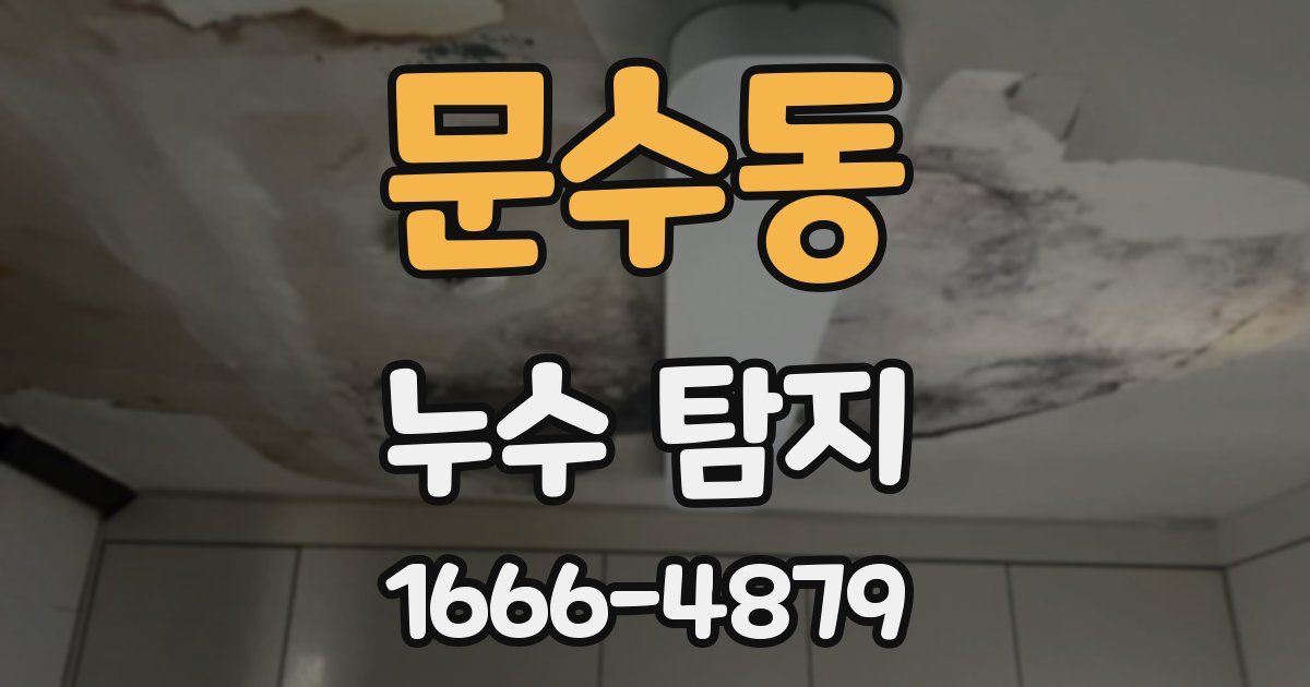 문수동 누수 탐지