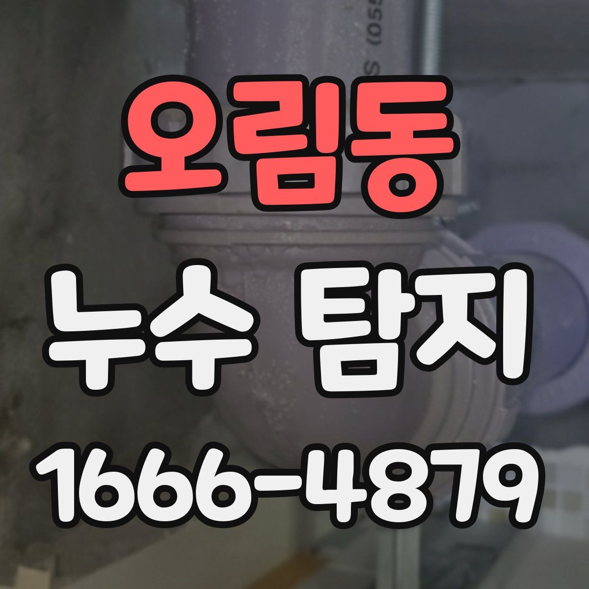 오림동 누수 탐지