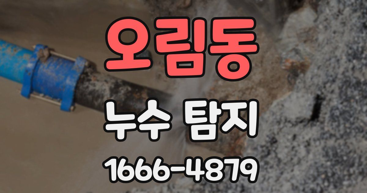 오림동 누수 탐지