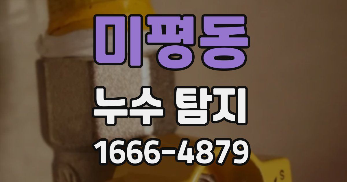 미평동 누수 탐지