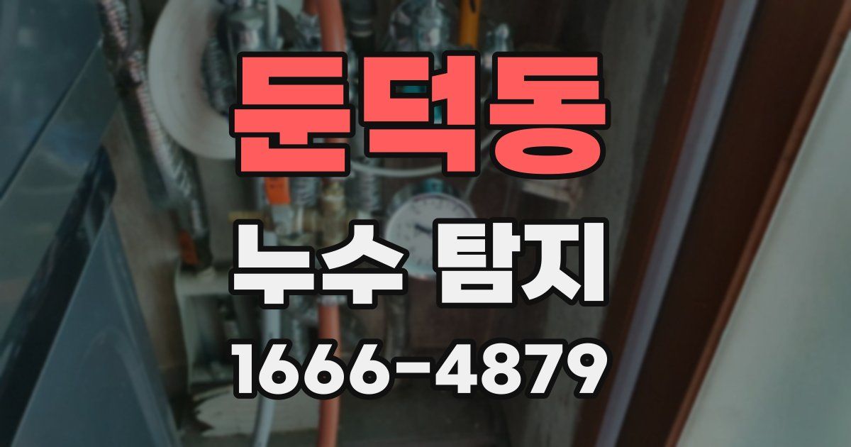 둔덕동 누수 탐지