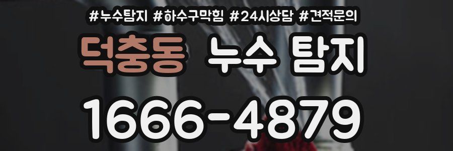 덕충동 누수 탐지