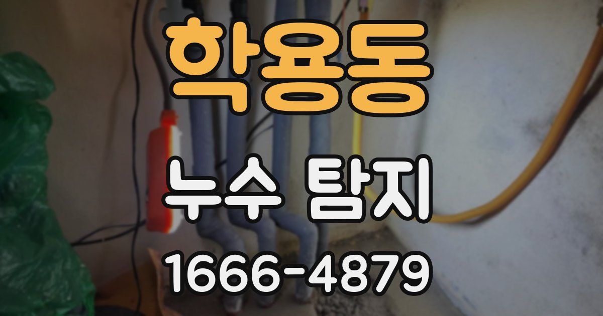 학용동 누수 탐지