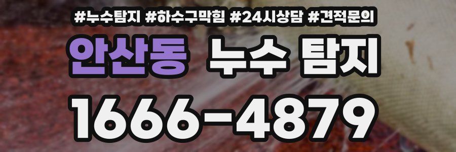 안산동 누수 탐지