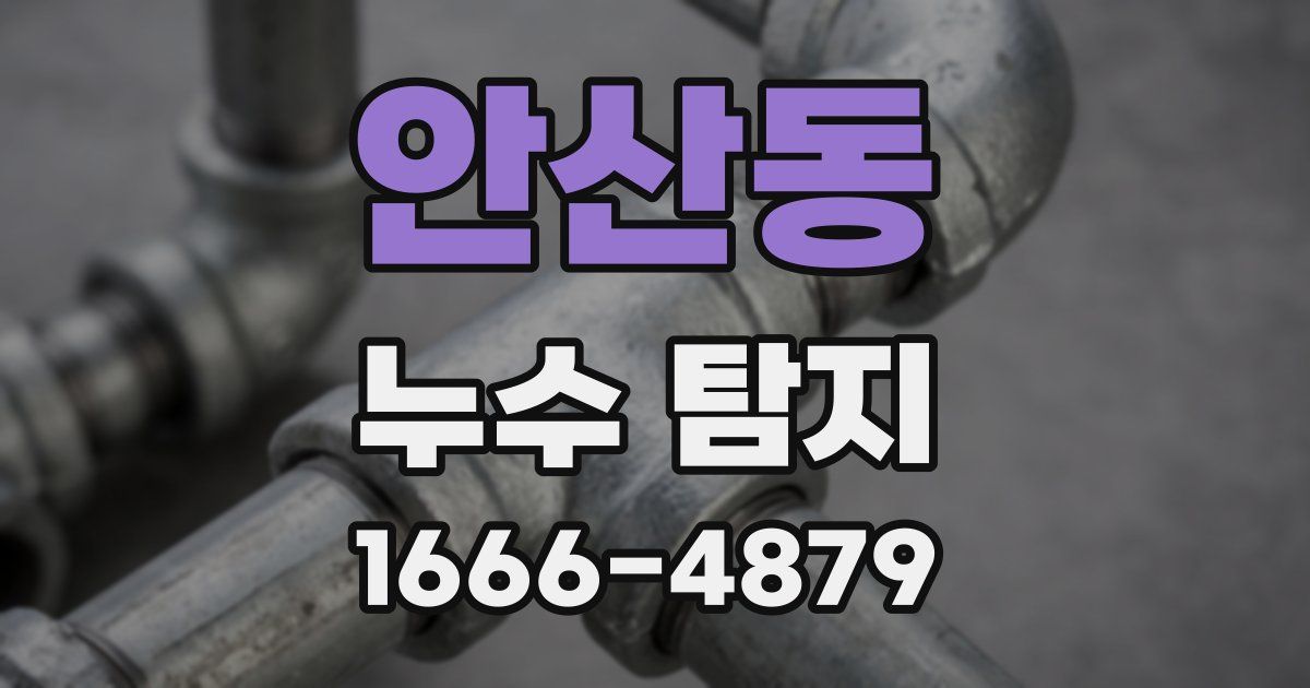 안산동 누수 탐지