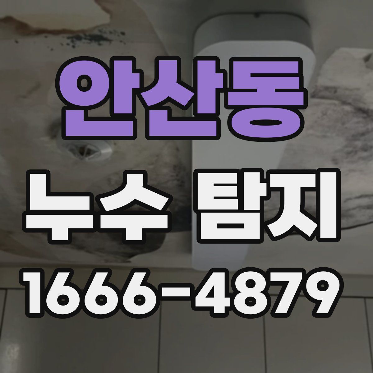 안산동 누수 탐지
