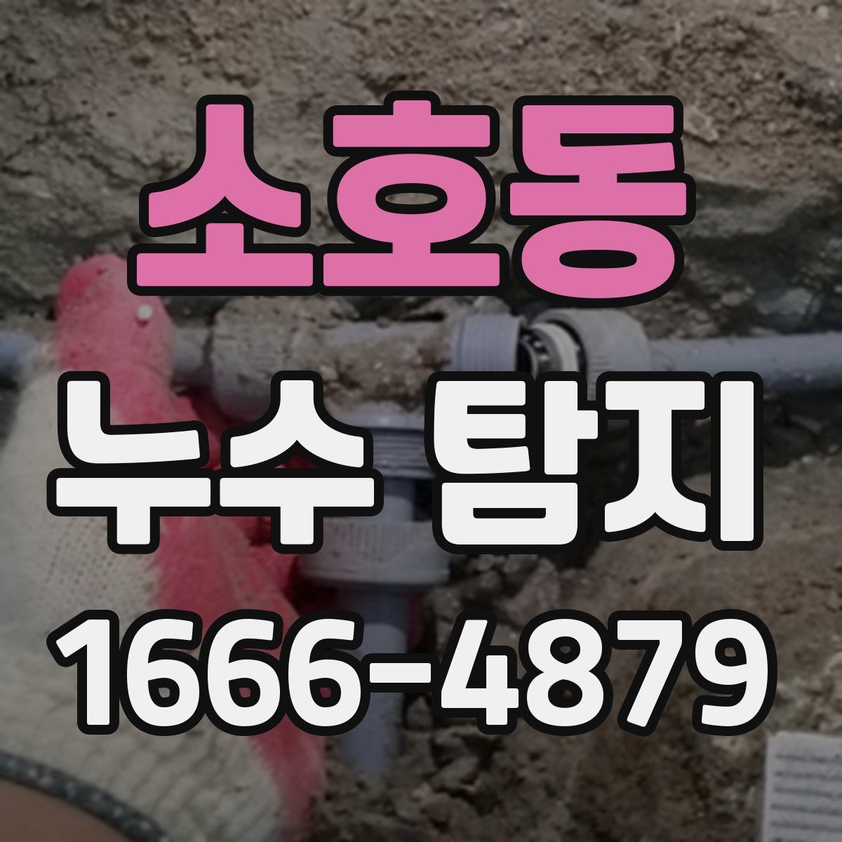 소호동 누수 탐지