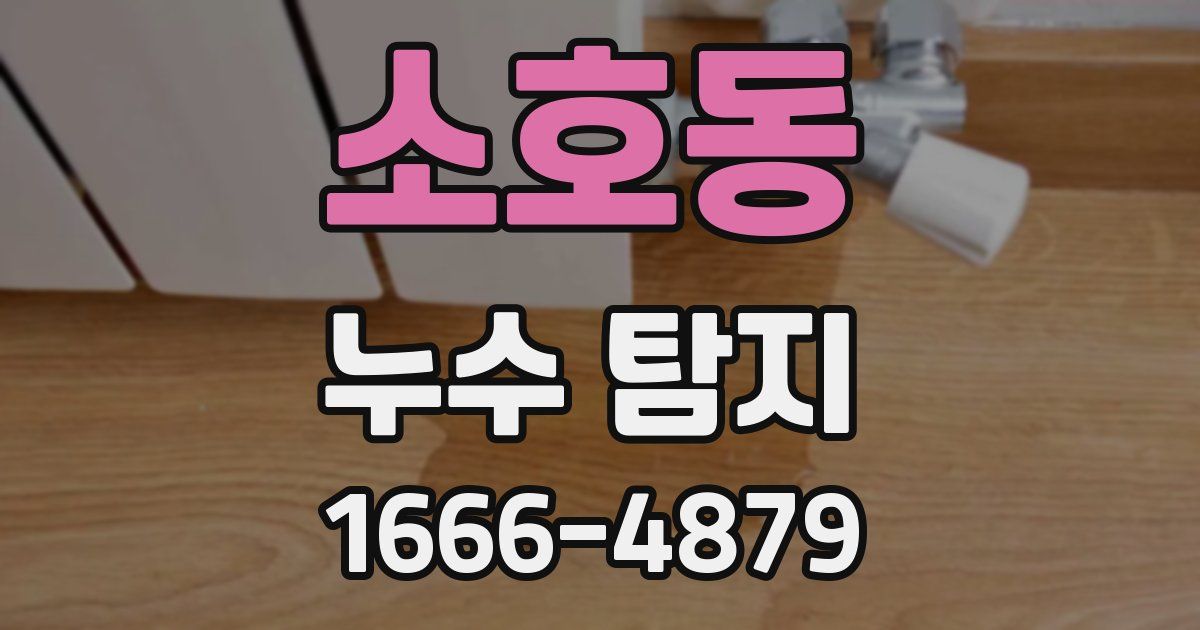 소호동 누수 탐지