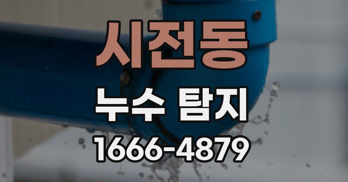 시전동 누수 탐지