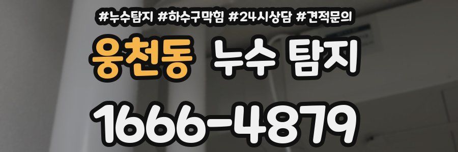 웅천동 누수 탐지