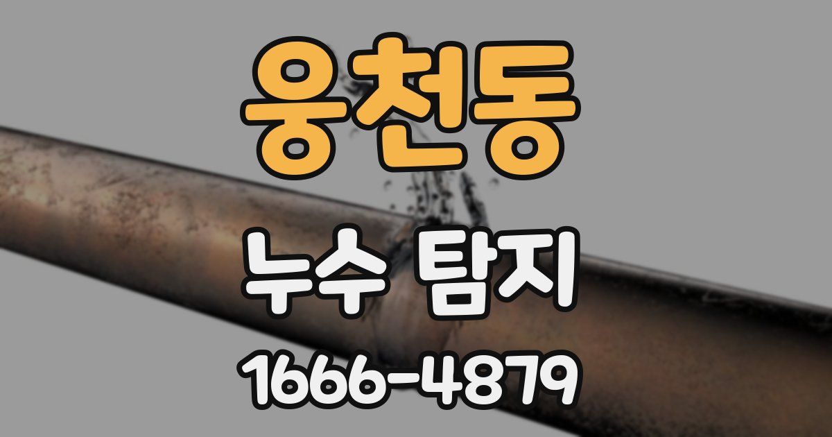 웅천동 누수 탐지