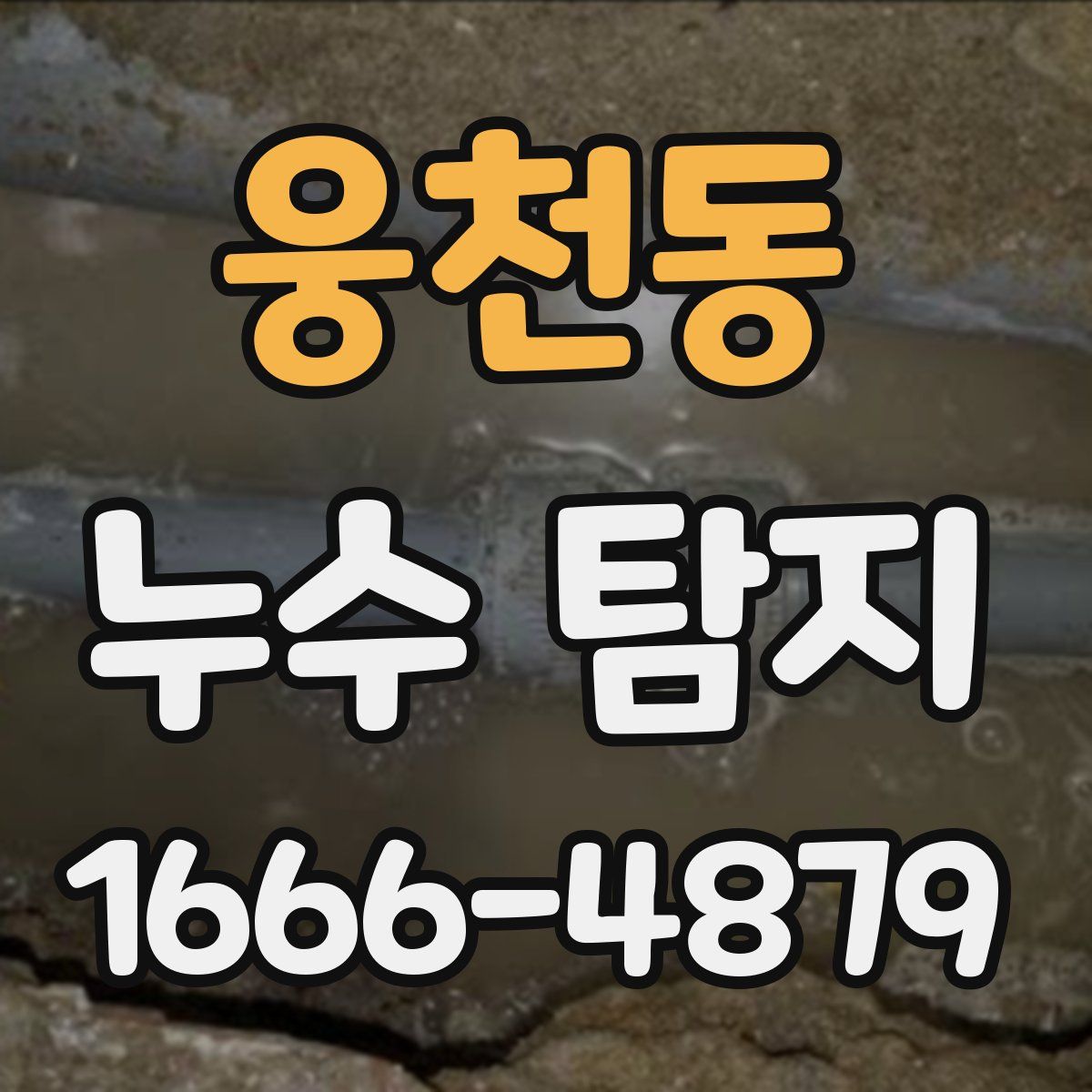 웅천동 누수 탐지