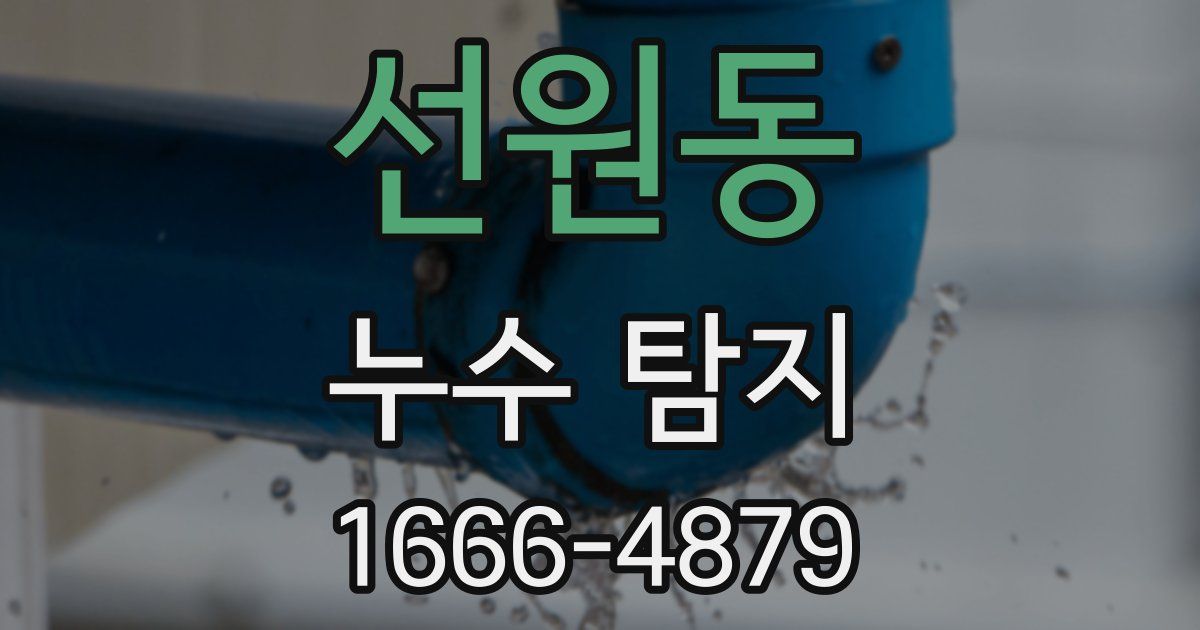 선원동 누수 탐지
