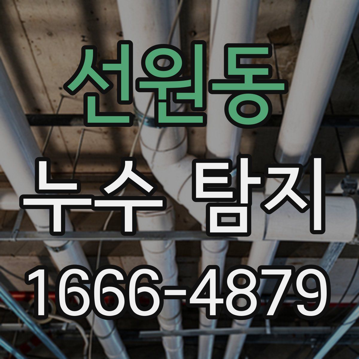 선원동 누수 탐지