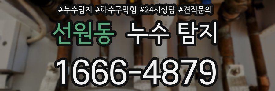 선원동 누수 탐지