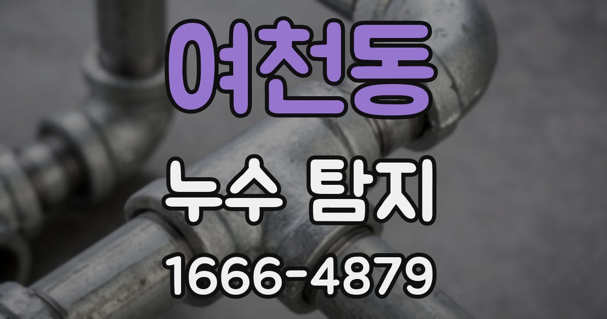 여천동 누수 탐지