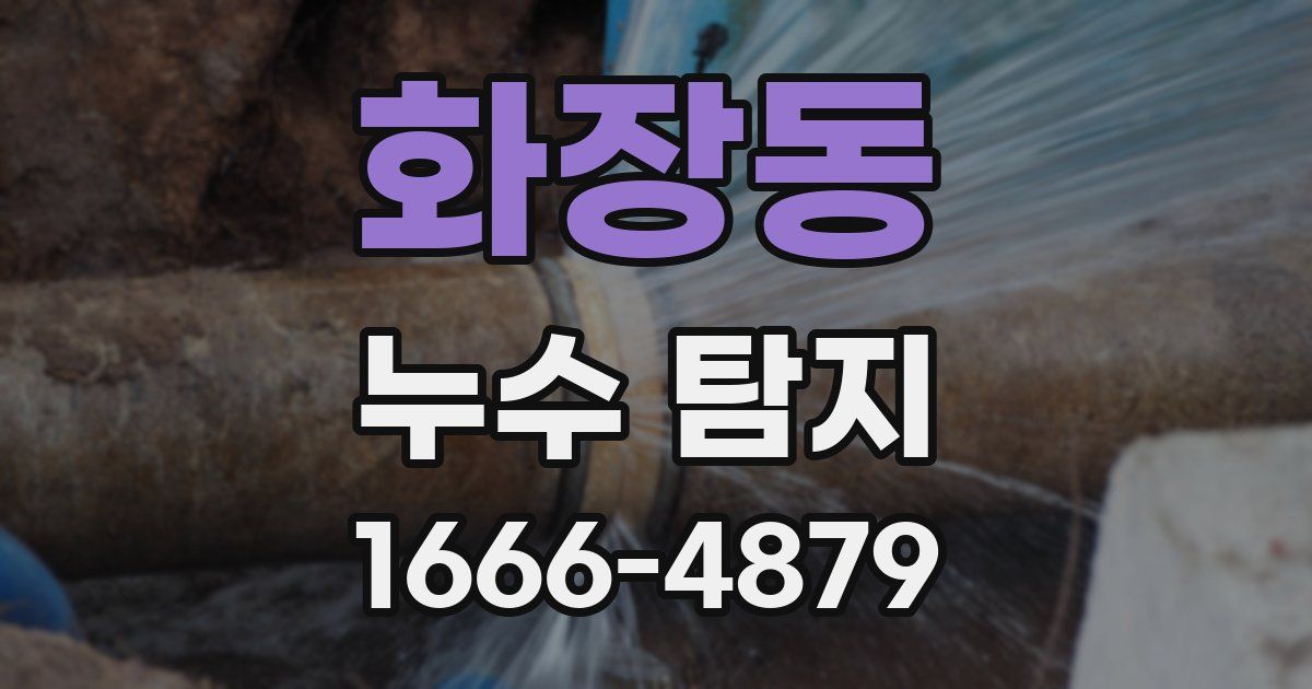화장동 누수 탐지