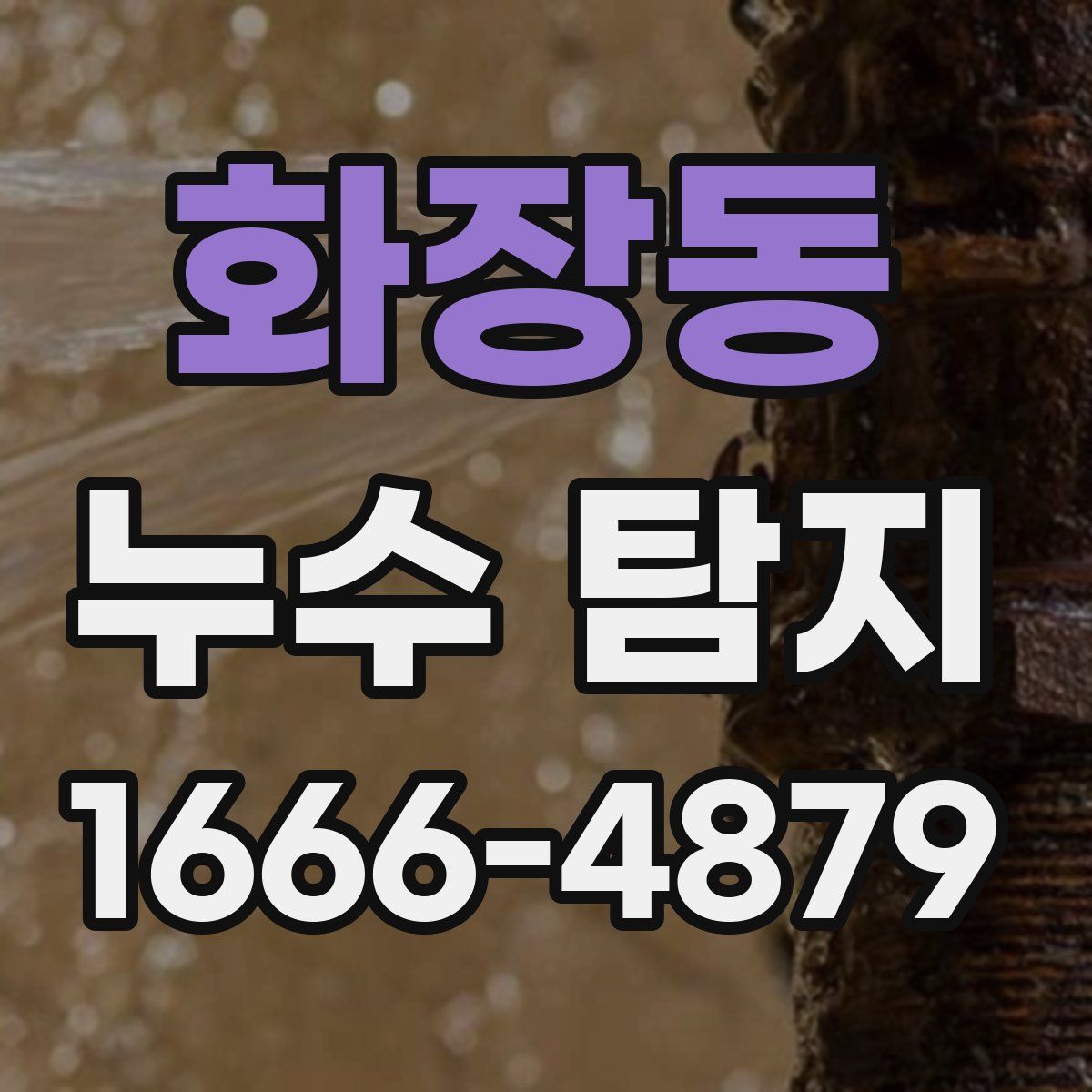 화장동 누수 탐지