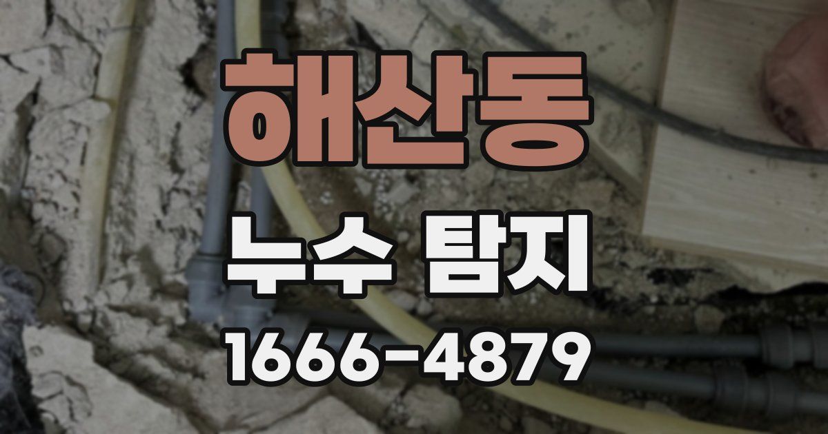 해산동 누수 탐지