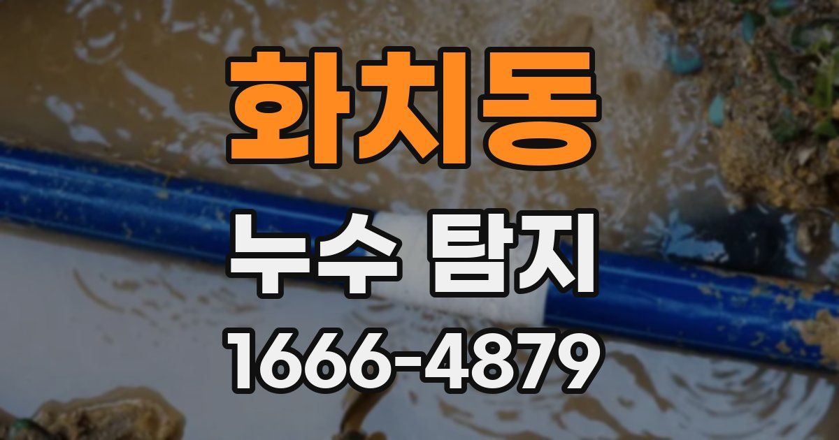 화치동 누수 탐지