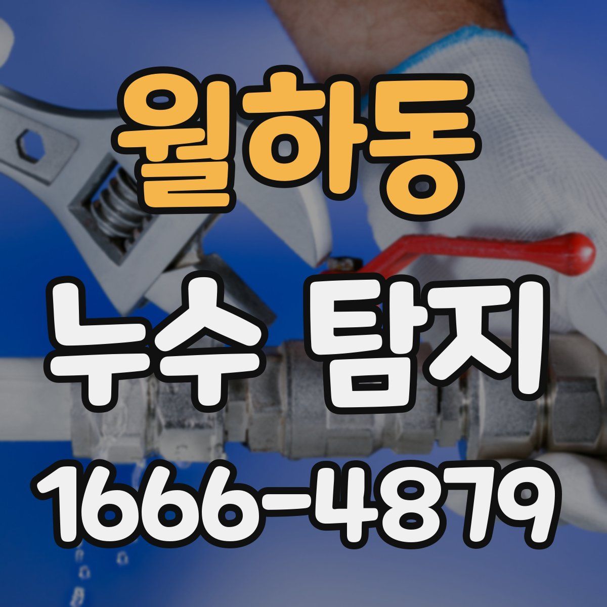 월하동 누수 탐지