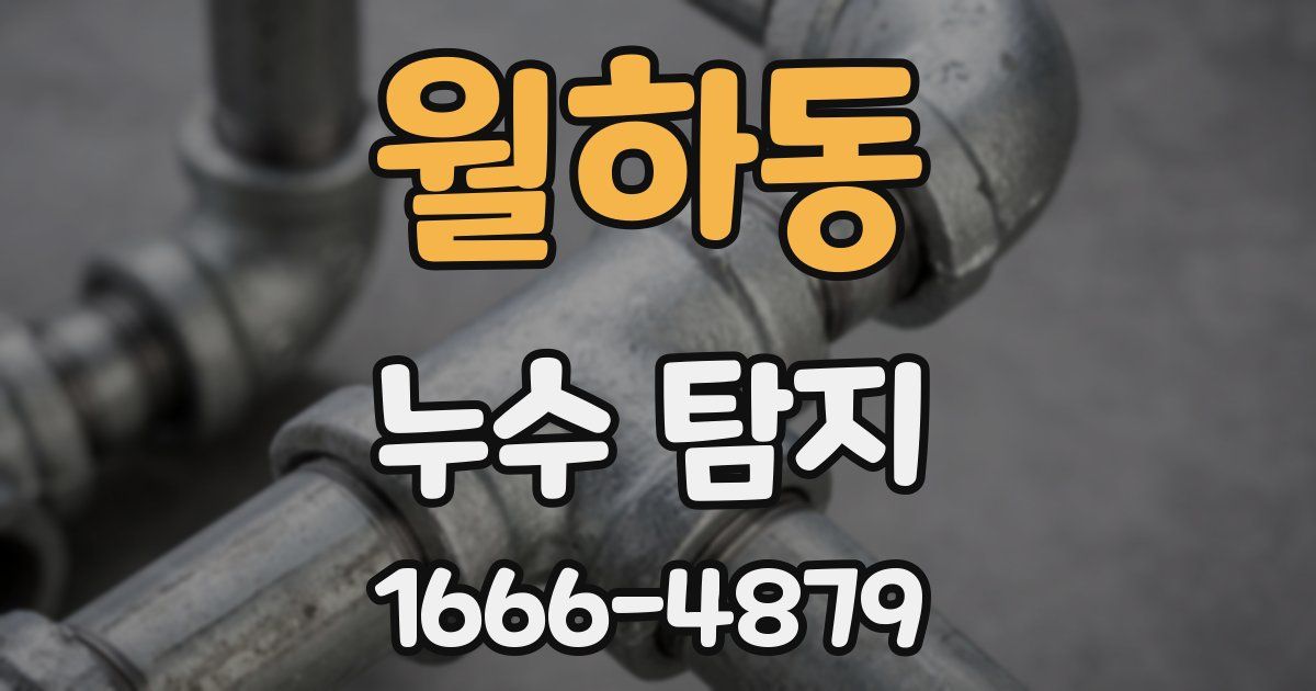 월하동 누수 탐지