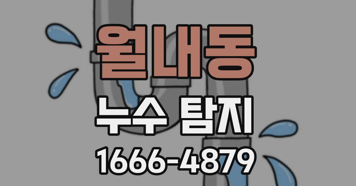 월내동 누수 탐지