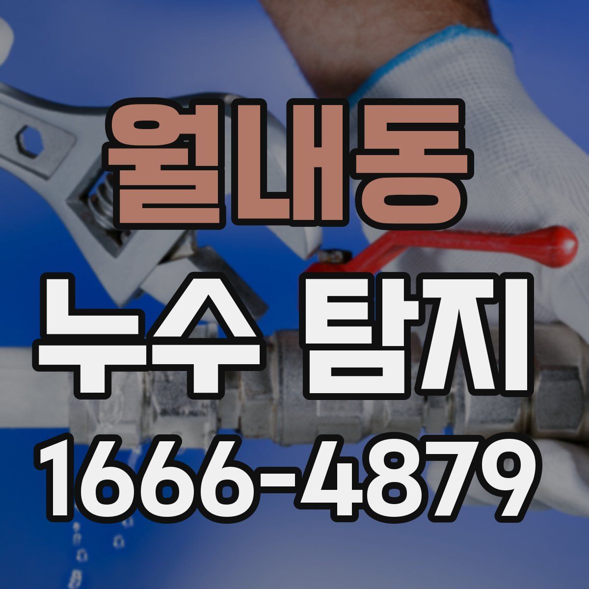 월내동 누수 탐지