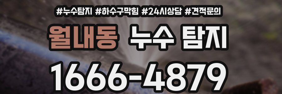 월내동 누수 탐지
