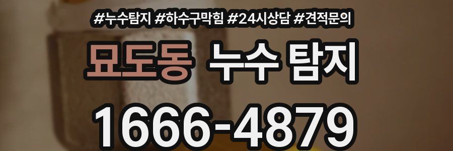 묘도동 누수 탐지