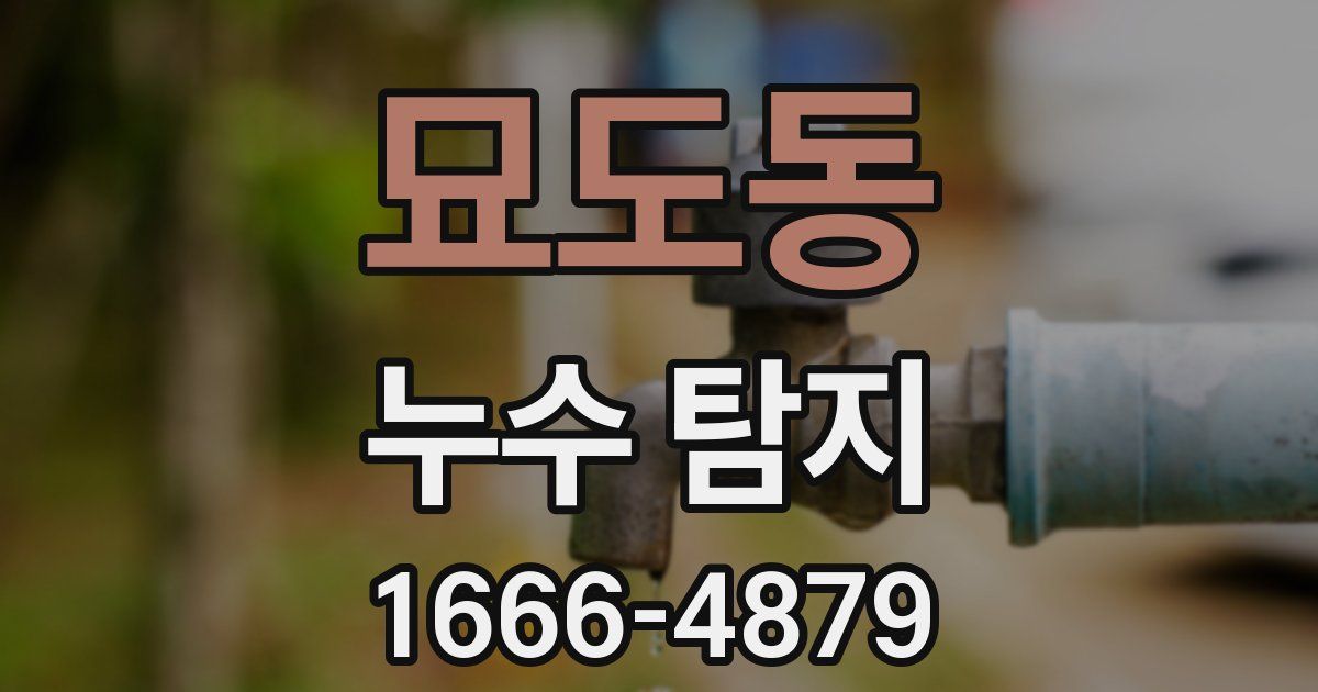 묘도동 누수 탐지
