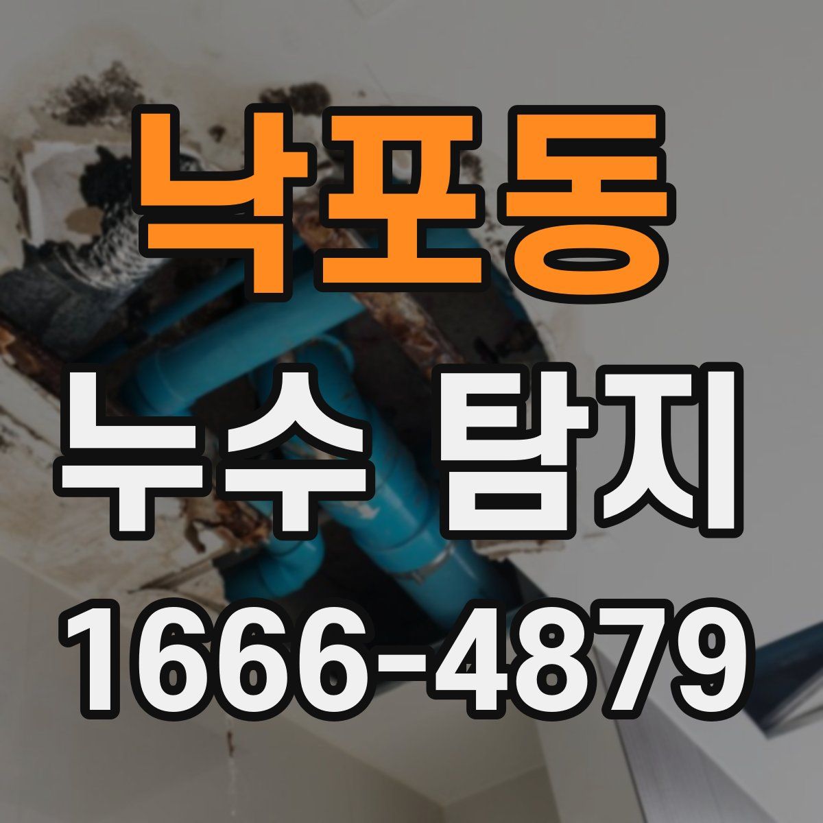낙포동 누수 탐지