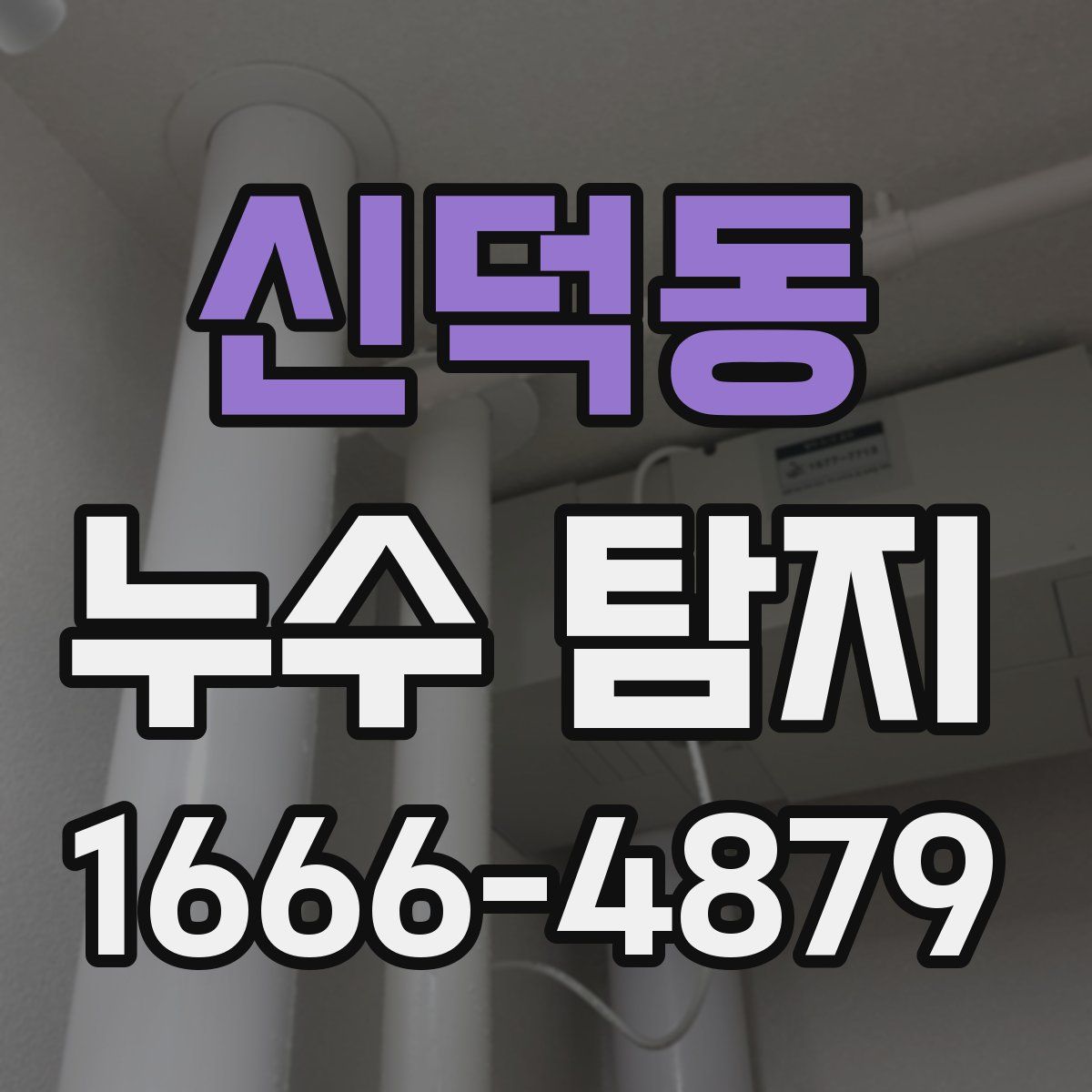 신덕동 누수 탐지
